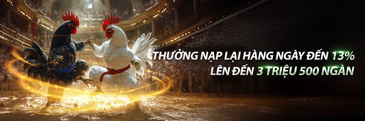 Sân đấu đá gà trực tuyến kịch tính tại Wim55 Login
