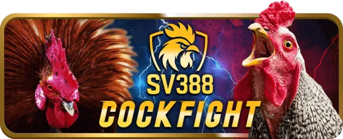 Ưu đãi chào mừng Wim55 Login